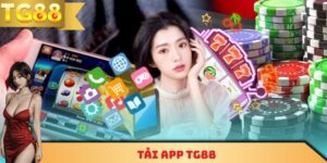 Mỗi Ngày Tải app TG88