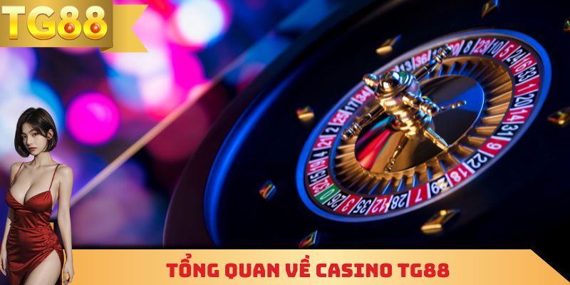 Tổng quan về Casino TG88